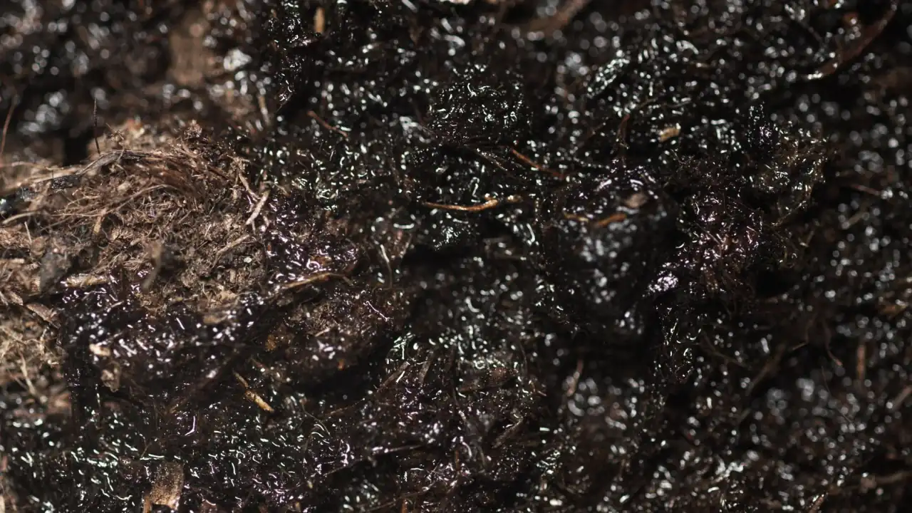 广州通摩话务台与拨号器在呼叫中心场景中的协同应用方案